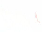 19e216ebf1ae79aad42355471179e4d3.jpg