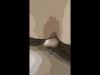 ec850d4a6651ba7be70d46cbc1ac0944.jpg
